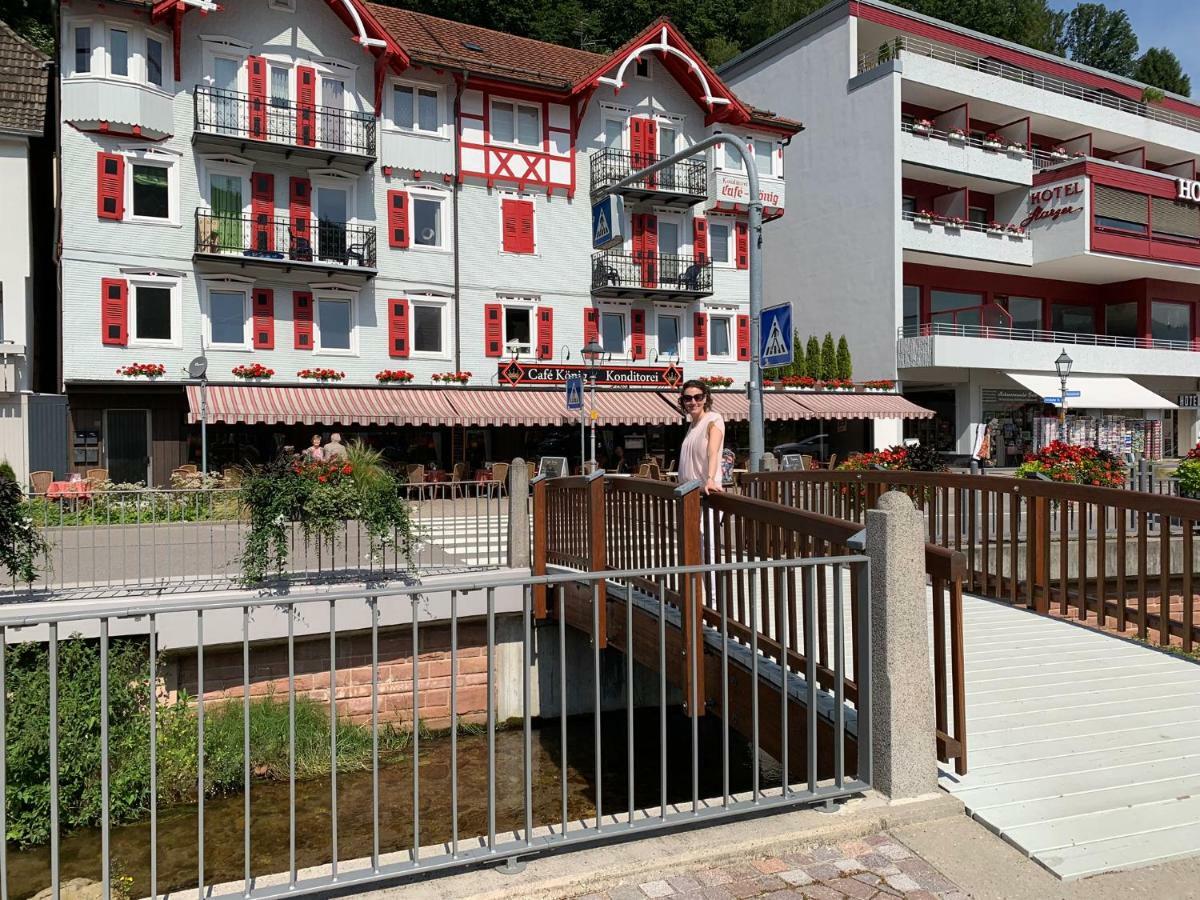 Black Forest Apartment 바트헤른알브 외부 사진